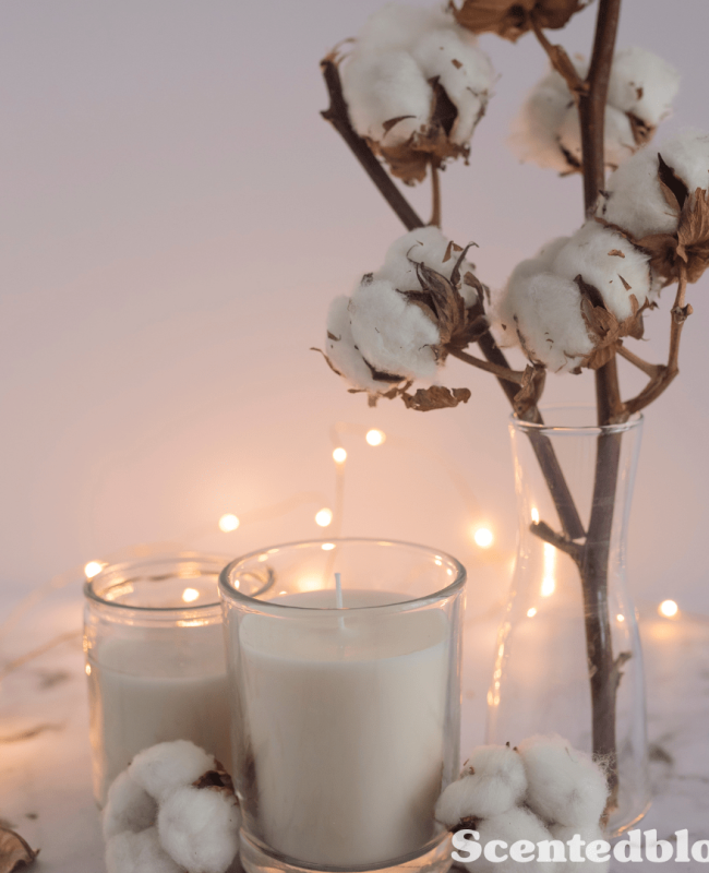 customize candle and fragrance in raipur